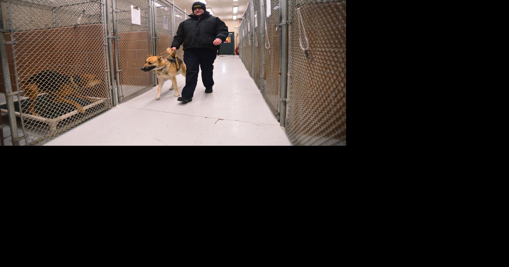 A question of space Upgrades needed at Genesee County Animal Shelter