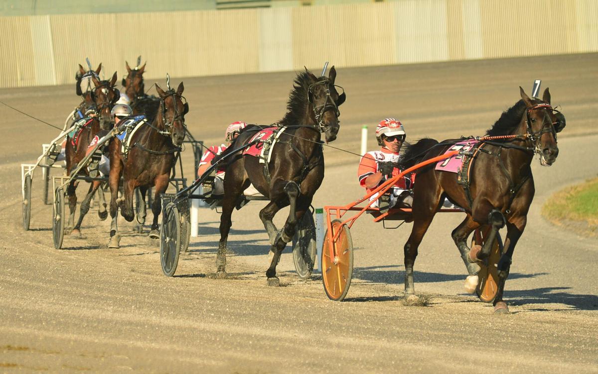 Racing, spectators return to Batavia Downs | Top Story Racing, spectators return to Batavia Downs | Top Story