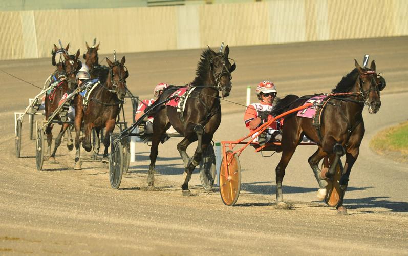 Racing, spectators return to Batavia Downs | Top Story ...
