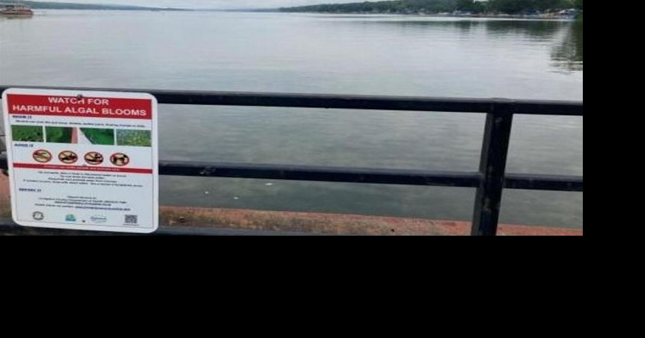 No harmful algal blooms reported on Conesus Lake News