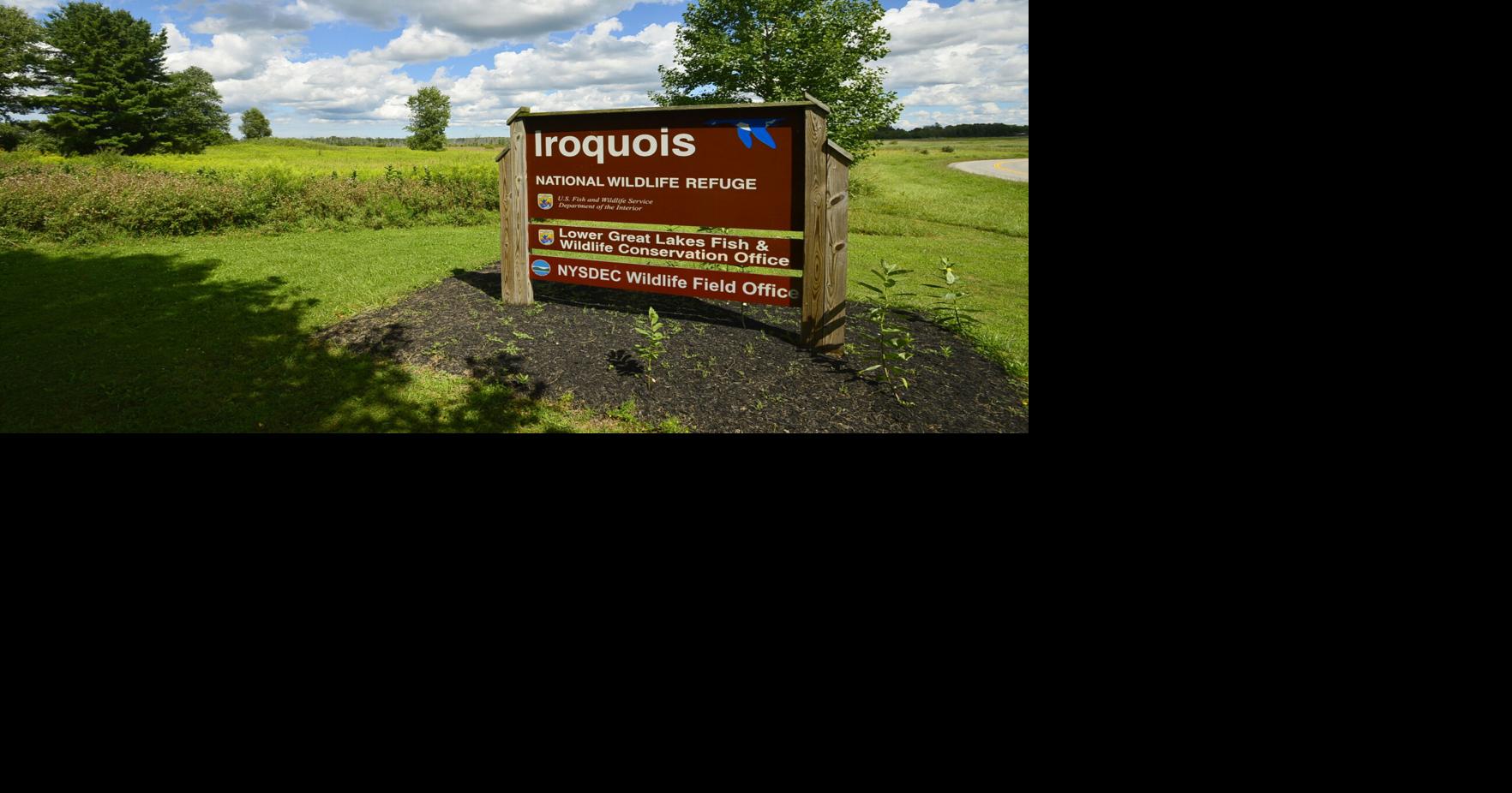 Iroquois wildlife refuge readies 'Spring Spectacular' | News |  thedailynewsonline.com