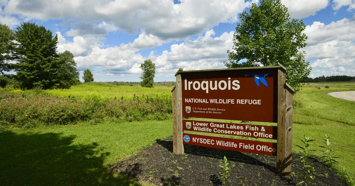 Iroquois wildlife refuge readies 'Spring Spectacular' | News | thedailynewsonline.com