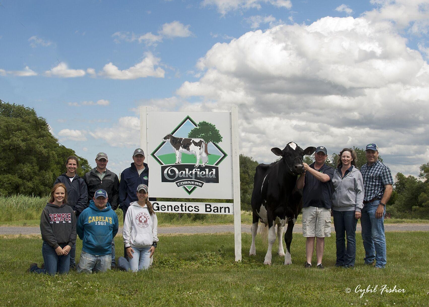 Genesee County Dairy Farm Tour Goes Virtual Local News