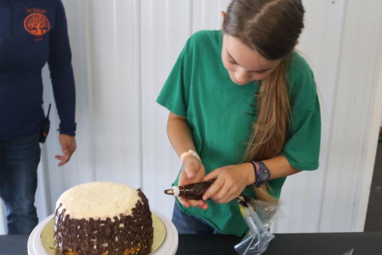 Creatively delicious Young people test cake decorating skills at