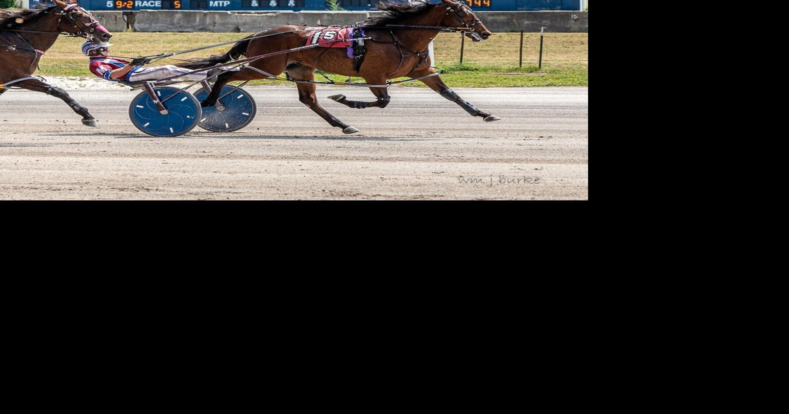 HARNESS RACING: American Fling sets Buffalo Raceway track record with a ...