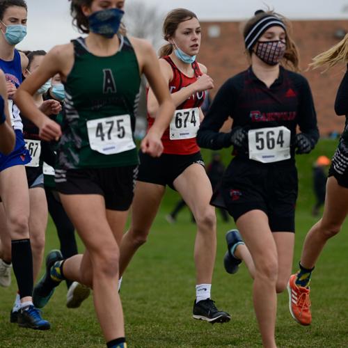 GIRLS CROSS-COUNTRY: Pavilion’s Wolcott captures second sectional title ...