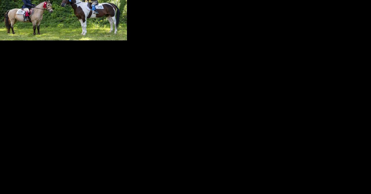 Area youth show horse skills at Wyoming County Fair - Vimarsana News