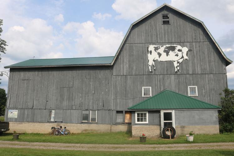 Cow Barn Fest brings bovine art and fun to Attica Top Story