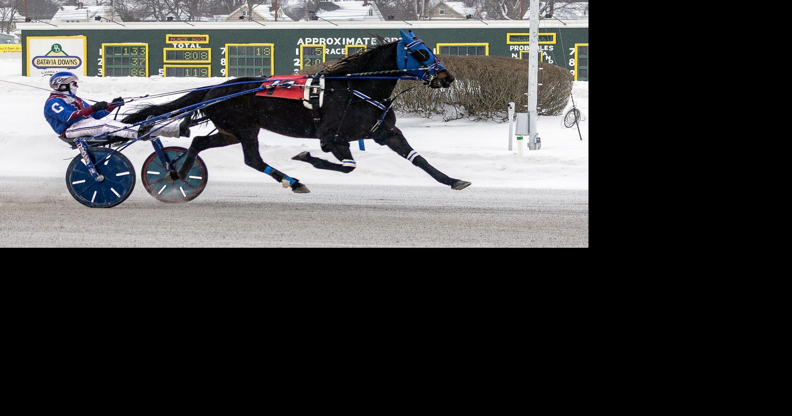 Crazy Fool was no joke in Batavia Downs feature trot