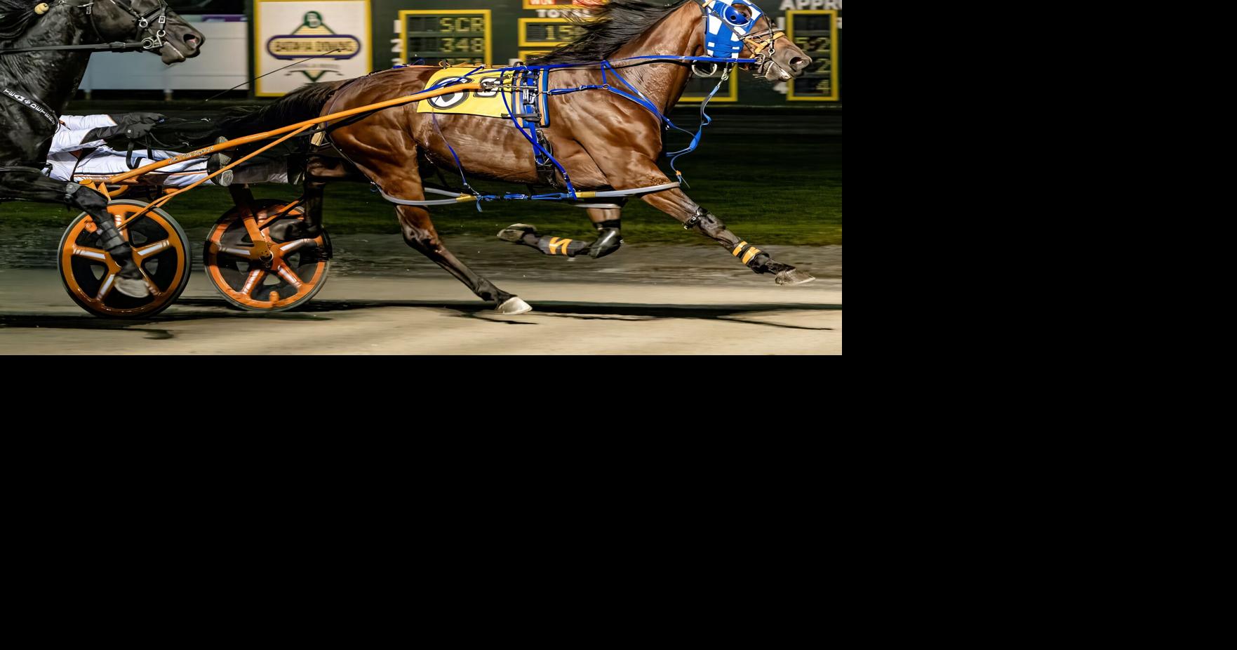 Livonjaxsandqueens, El Toro Loco win Batavia Opens Sports