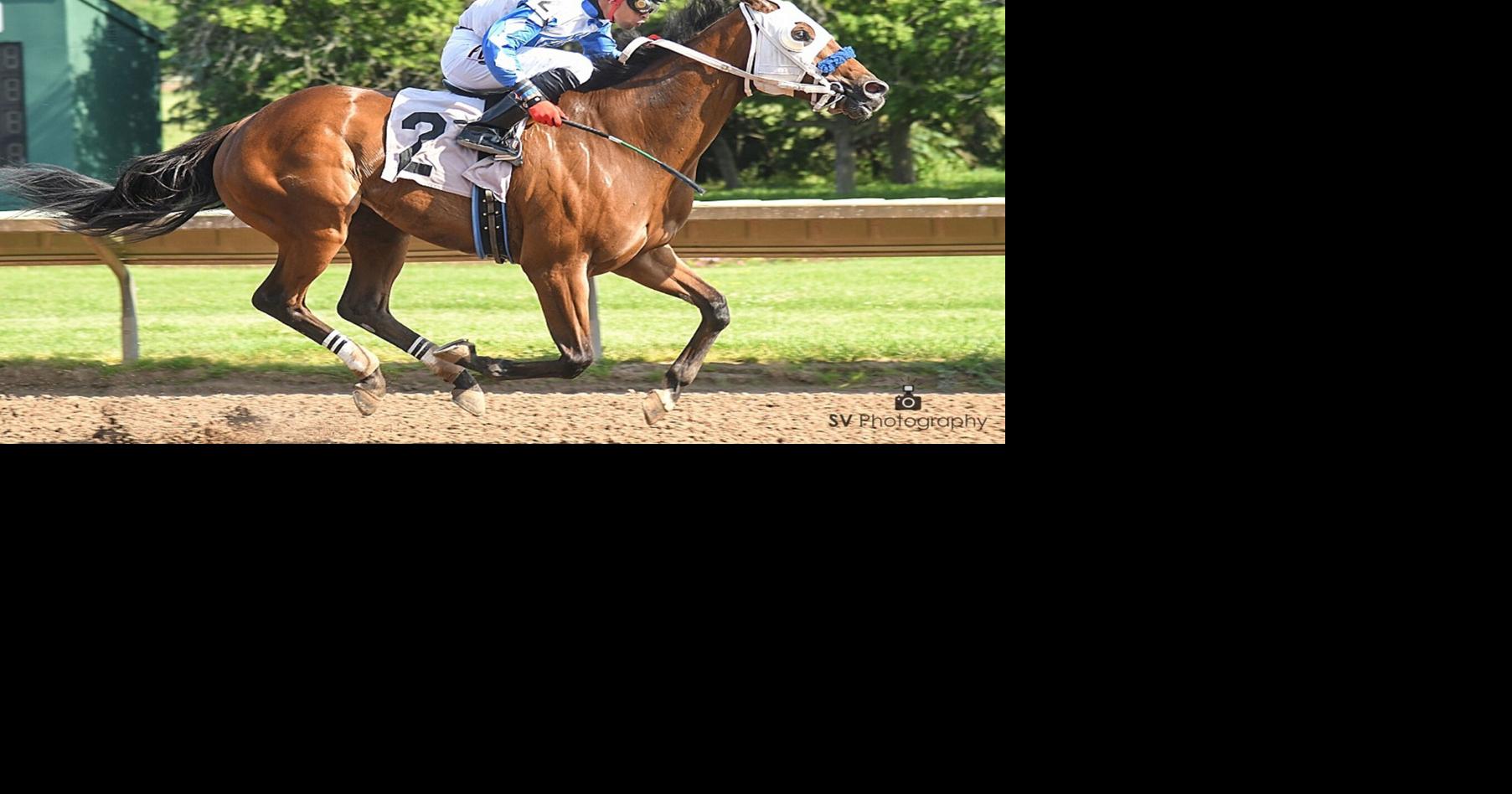 LEON REED MEMORIAL STAKES HIGHLIGHTS MONDAY CARD: Older New York-breds ...