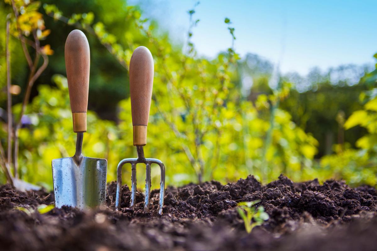 Master Gardener: Handy hints for planting a vegetable garden | Lifestyles |  thedailynewsonline.com