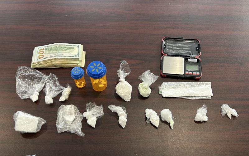 Investigation yields felony drug charges in Albion | News ...