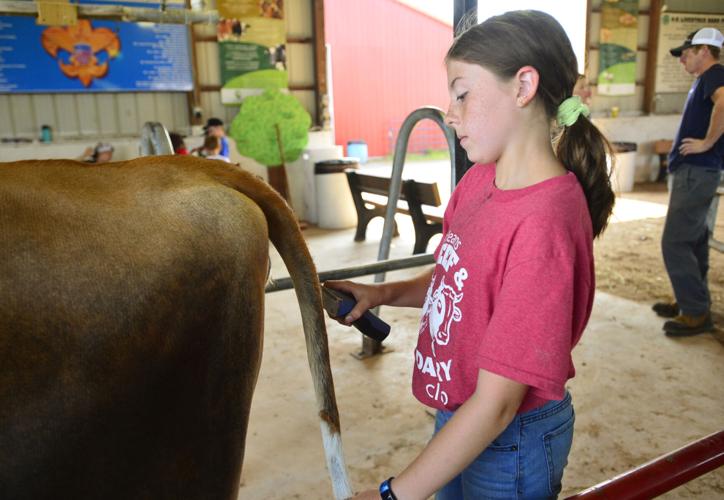 PHOTOS Opening day at Orleans County Fair Top Story