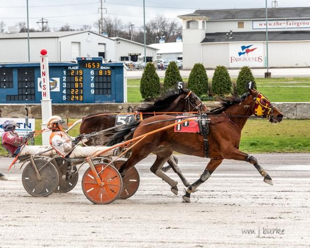 BUFFALO RACEWAY Wilberforce, Pembroke Joey get Saturday afternoon
