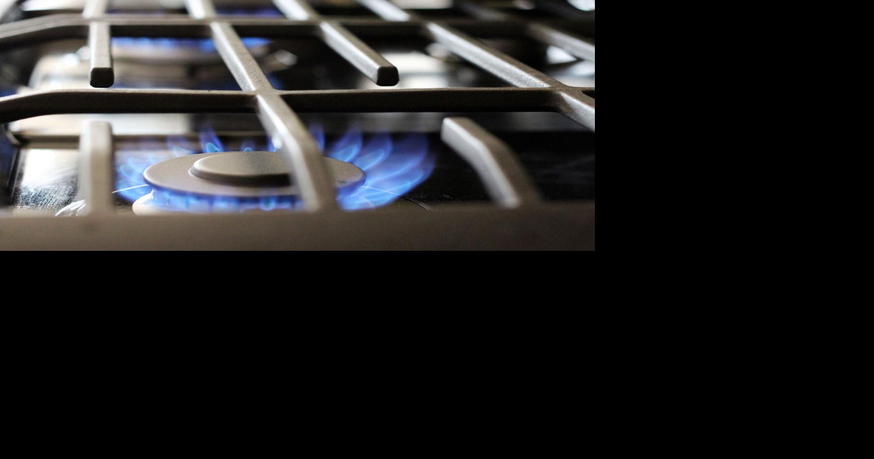 Editorial &ndash; Los Angeles Times: No, the feds aren&rsquo;t coming for your gas stove