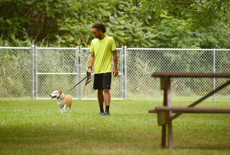 Dog park opens in village of Attica Top Story