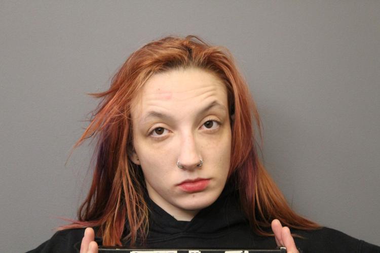 Investigation yields felony drug charges in Albion | News ...
