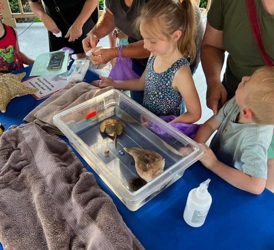 Haxton Library celebrates reading with carnival Lifestyles