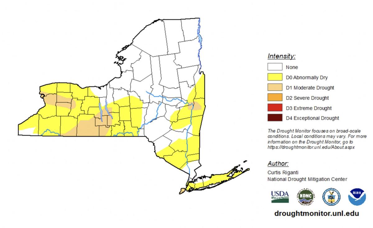 State DEC puts GLOW counties on drought watch today | Top Story ...