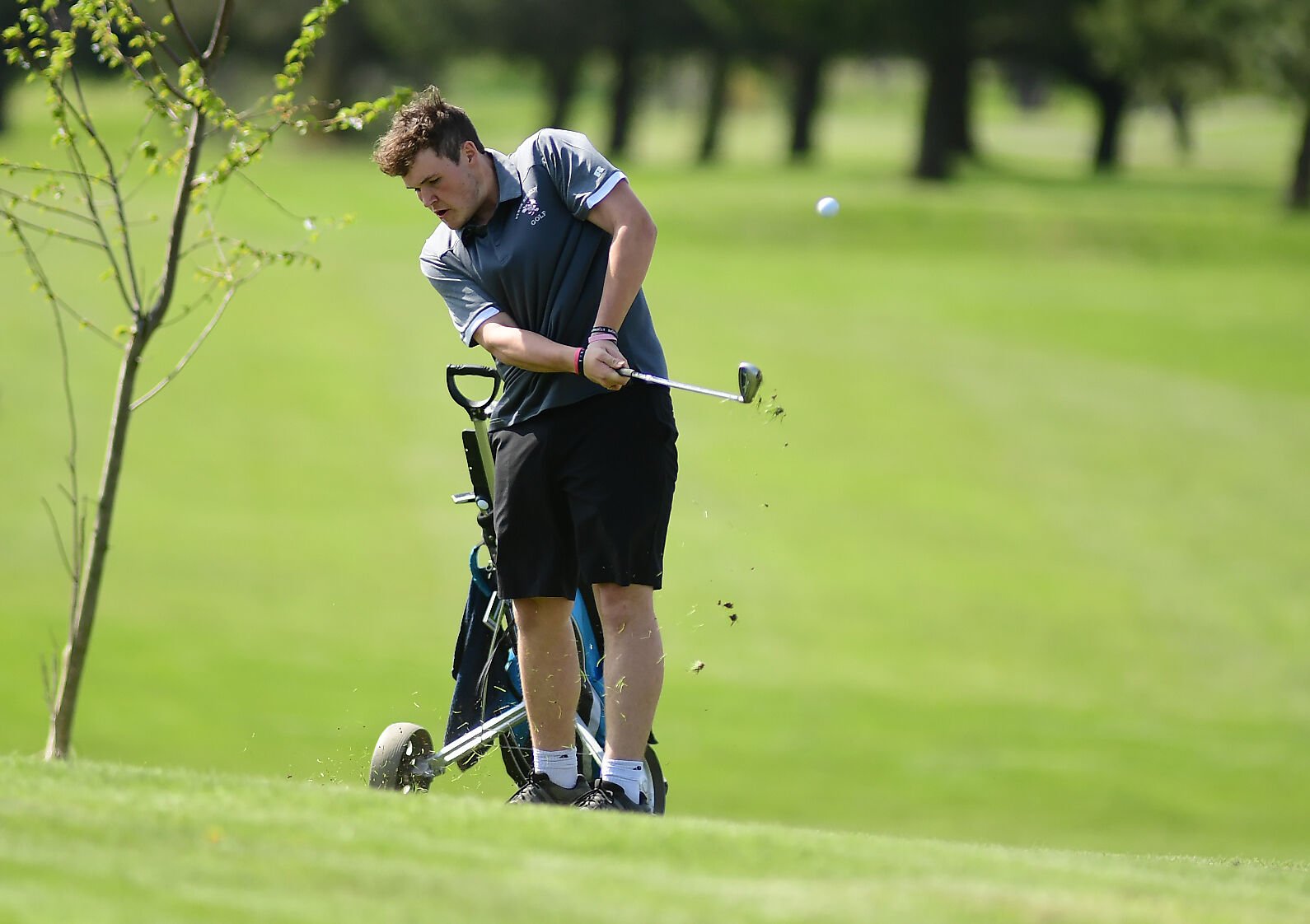 H.S. GOLF: B-B Remains Perfect With Win Over W-C | Sports ...