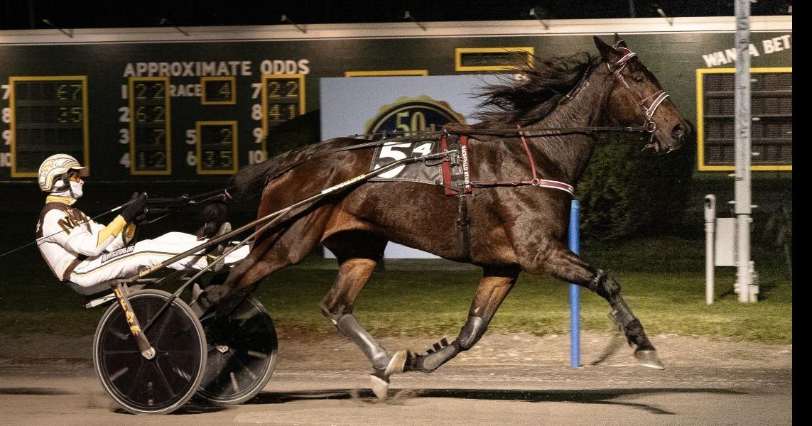 Drew Monti wins five at Batavia Downs Saturday | Sports ...