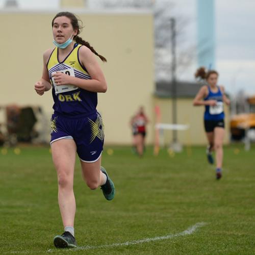 GIRLS CROSS-COUNTRY: Pavilion’s Wolcott captures second sectional title ...