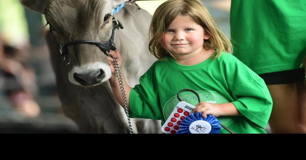 Genesee County Fair preps for 2024 News