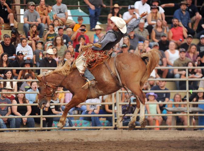PHOTOS: Attica Rodeo gets back in the saddle | Lifestyles ...
