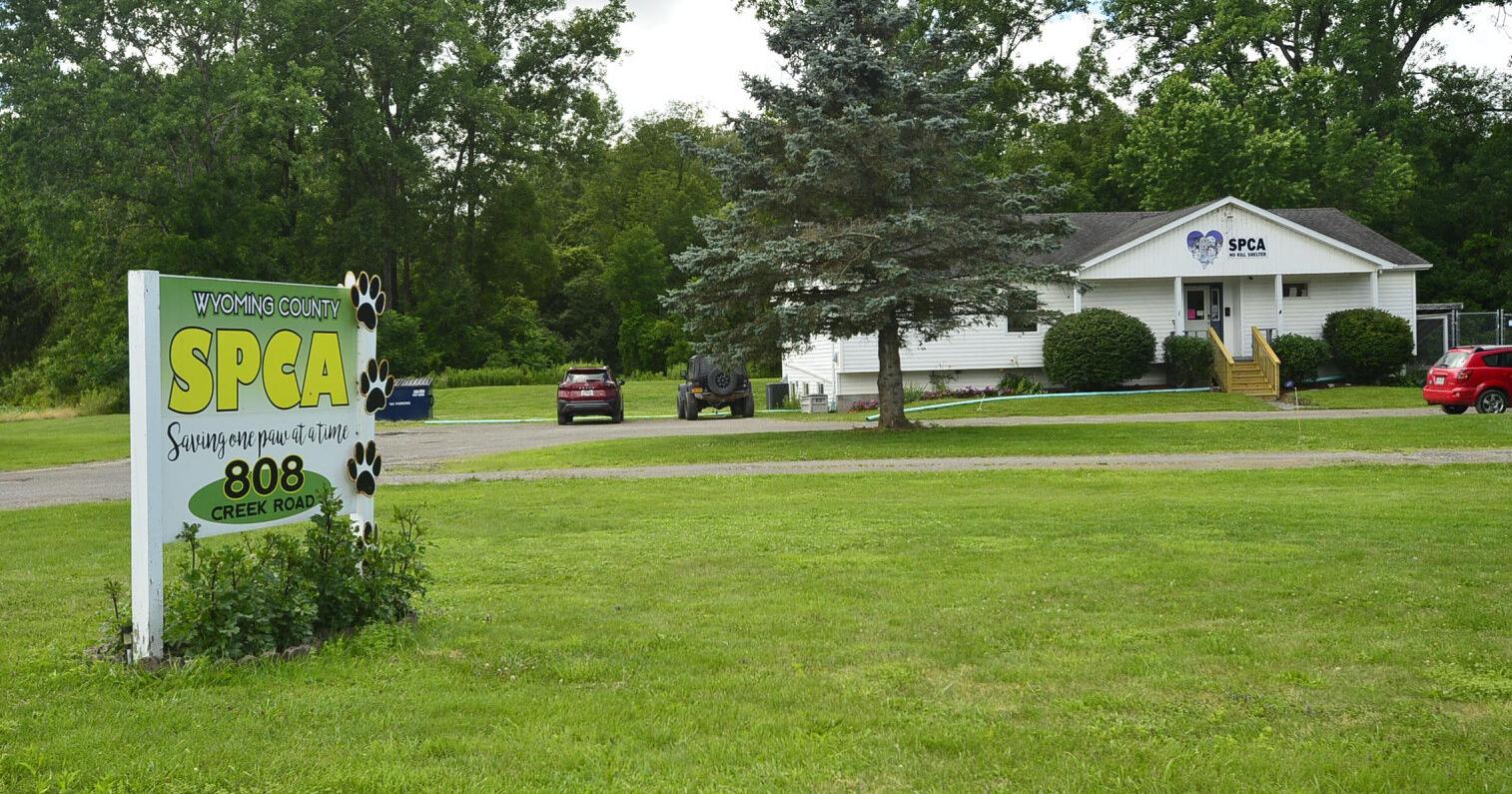 Grant will assist Wyoming County SPCA improvements - Vimarsana News