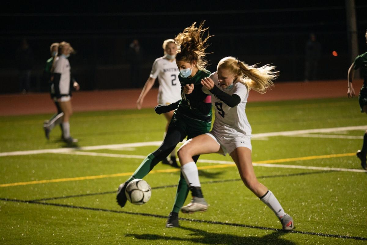 Section V Soccer Avon Breezes Geneseo Warsaw Both Survive Dansville Girls Upset No 2 Williamson Thedailynewsonline Com