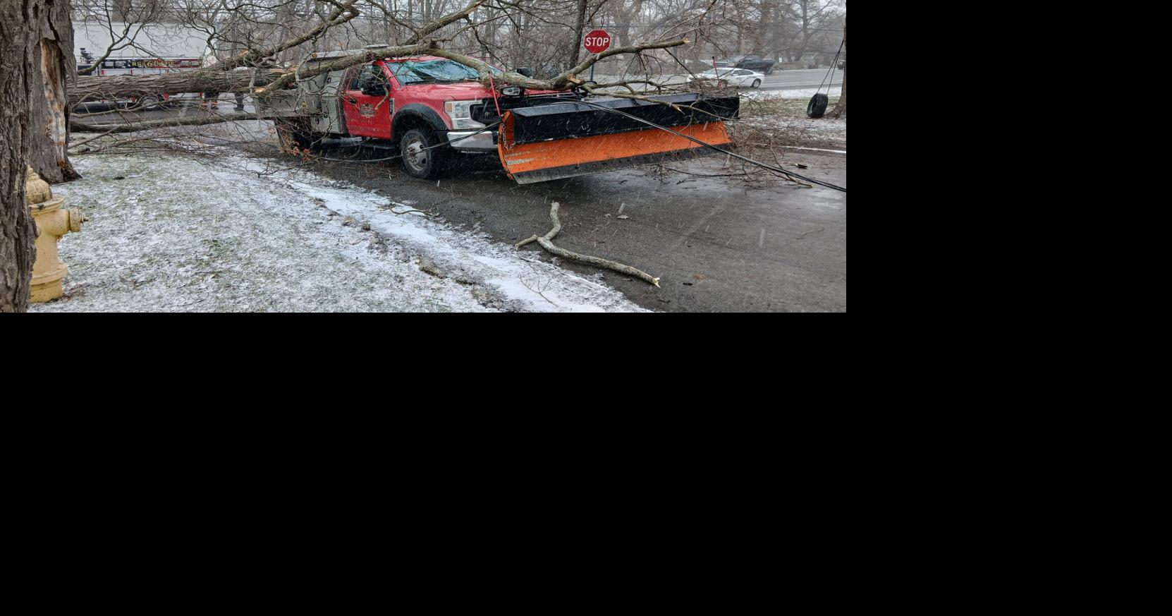 Town of Batavia employee uninjured after tree falls on truck | News ...