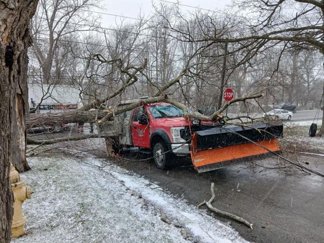 Town of Batavia employee uninjured after tree falls on truck | News ...