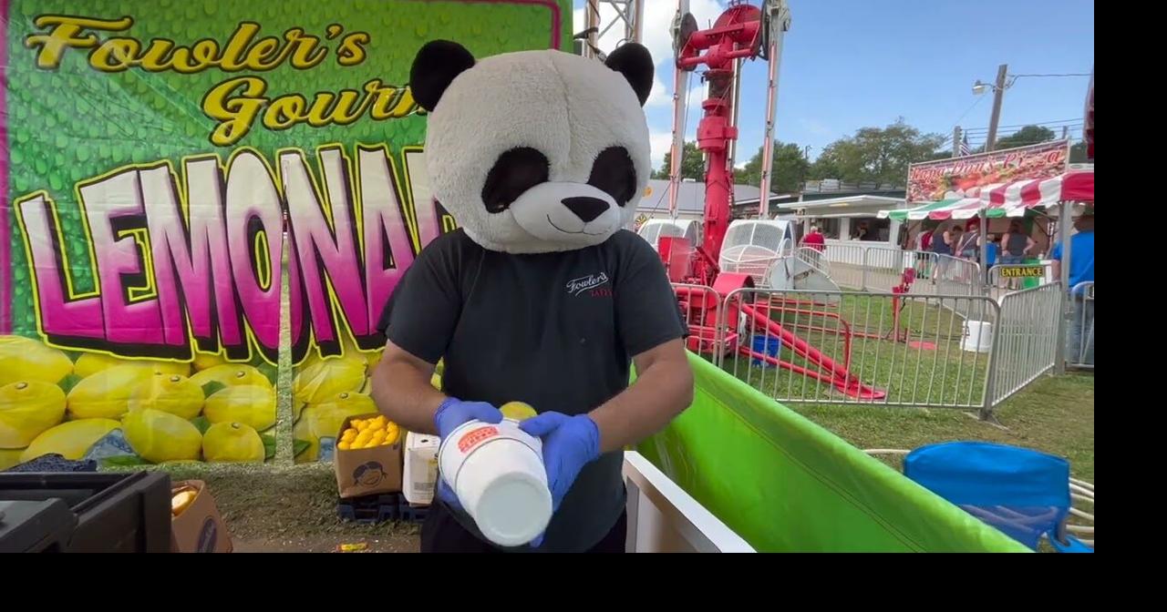WATCH Wyoming County Fair highlights News