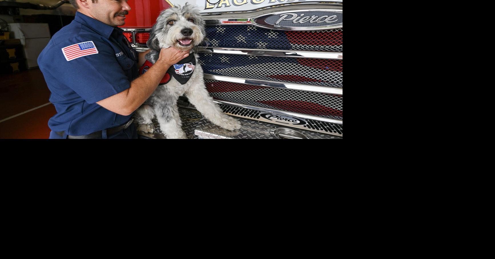 Oro, a trauma support dog for first responders, is the future of addressing mental health needs, officials say