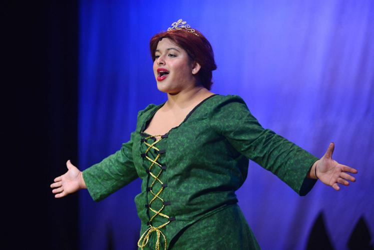 Shrek: The Musical - Nebraska Arts Council