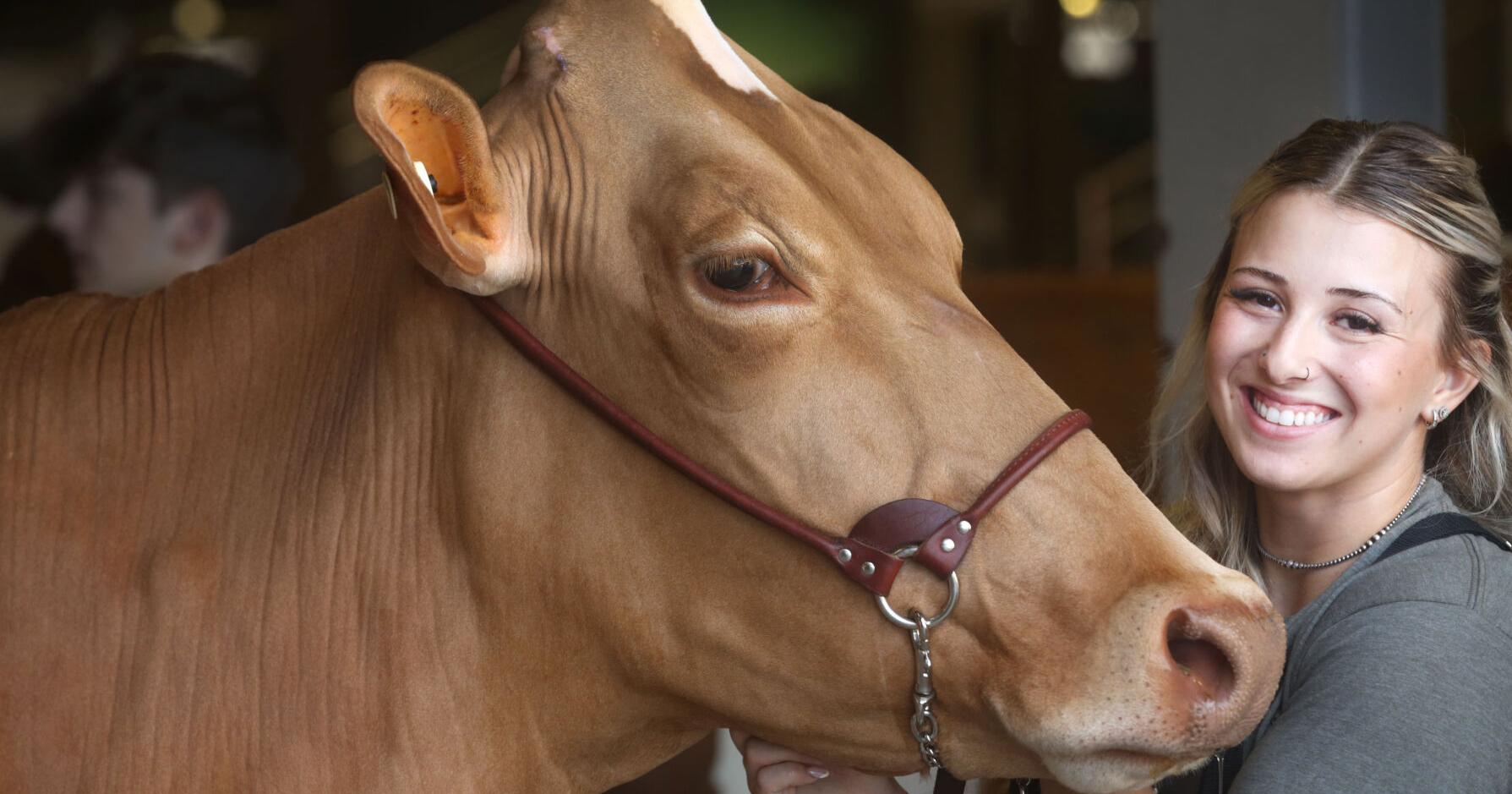 N . Y . State Fair highlights agriculture by the numbers