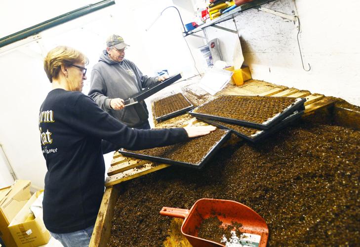 Genesee Chamber Awards Fenton’s Produce grows with the times Top