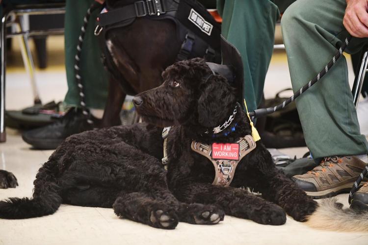 A ‘pawsitive’ day for veterans Groveland Correctional celebrates