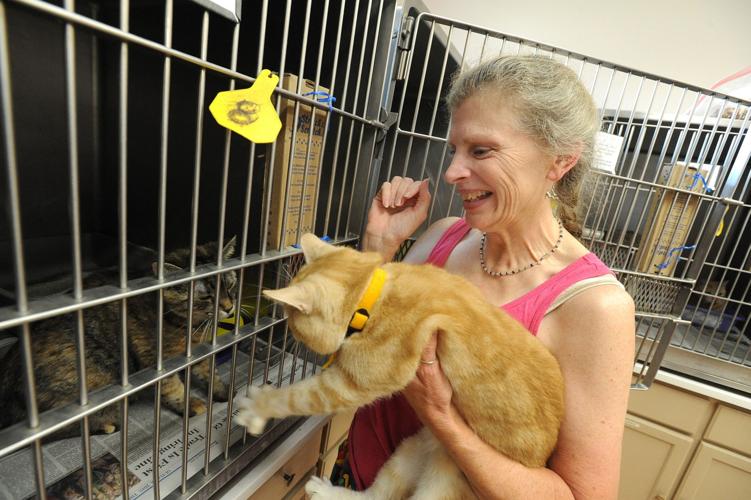 Funds will help spay and neuter low-income pets | News |  