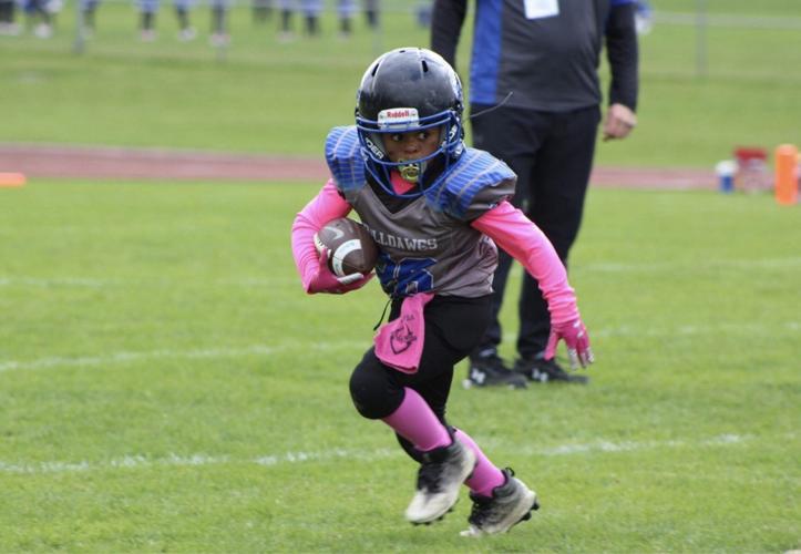 YOUTH FOOTBALL: Sackmaster Calmes leads Batavia Minis; Attica ...