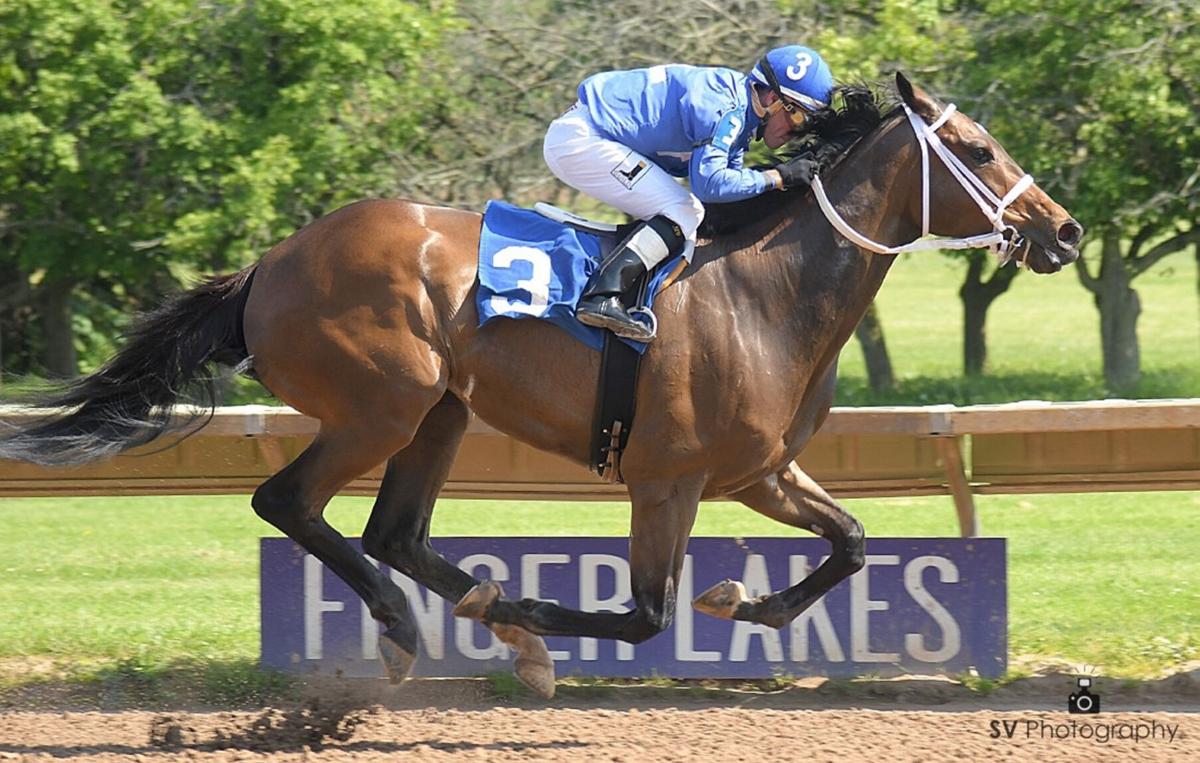FINGER LAKES: $50,000 Niagara Stakes this Monday at Finger Lakes FINGER LAKES: $50,000 Niagara Stakes this Monday at Finger Lakes