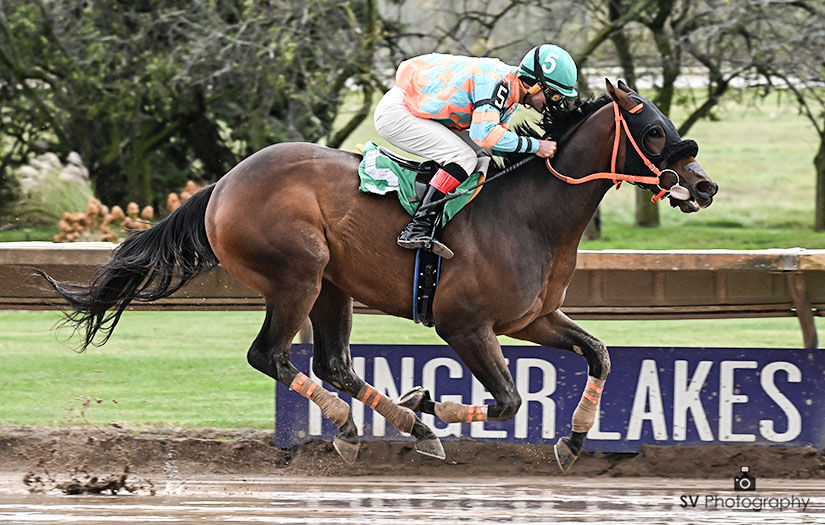 Live racing season begins Monday at Finger Lakes Gaming & Racetrack ...