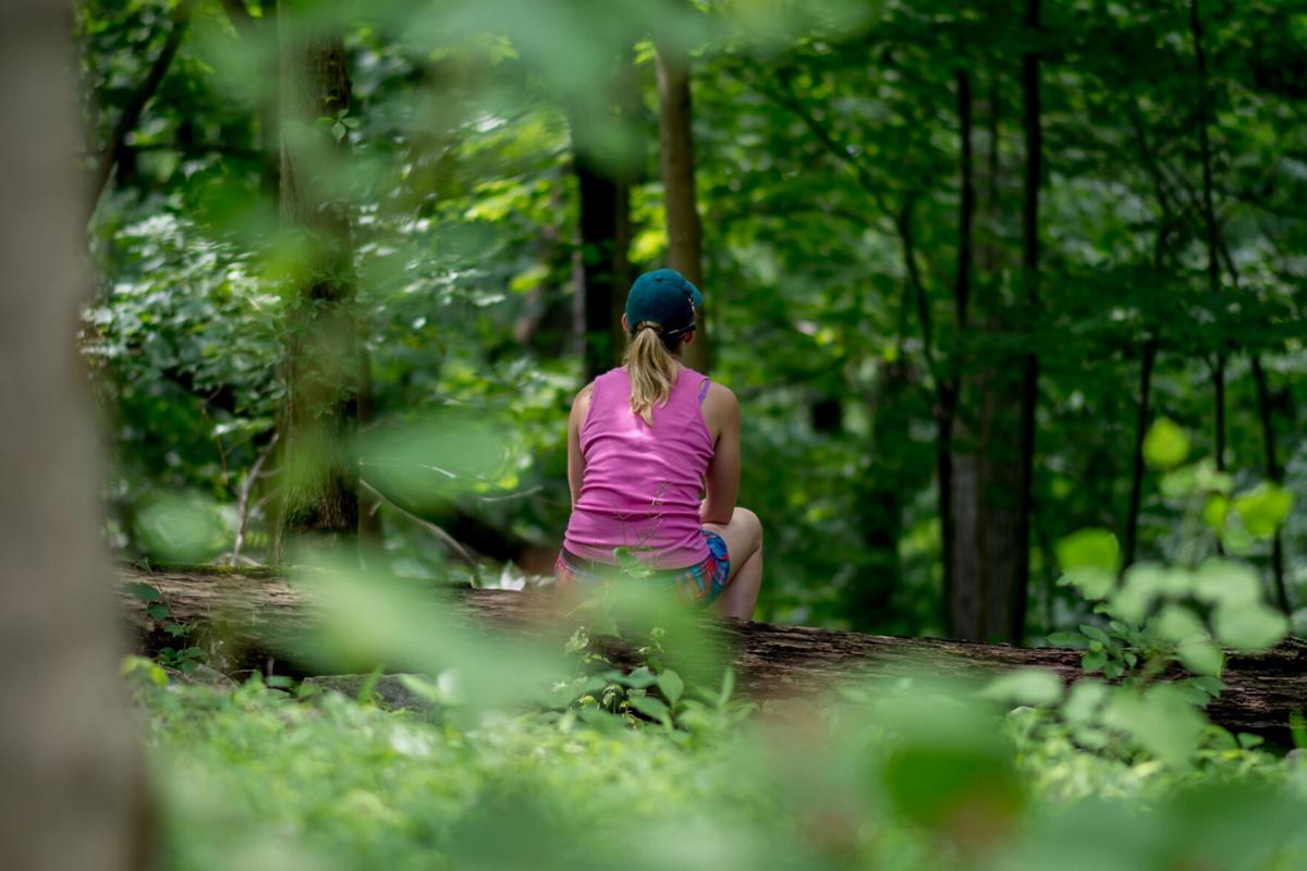 What is ‘forest bathing’? It may be the next best wellness practice you
