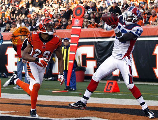 Cincinnati Bengals - Cincinnati Bengals wide receiver Terrell Owens (81)  runs after catching a pass from quarterback Carson Palmer against the  Cleveland Browns in their NFL football game on Sunday, Oct. 3