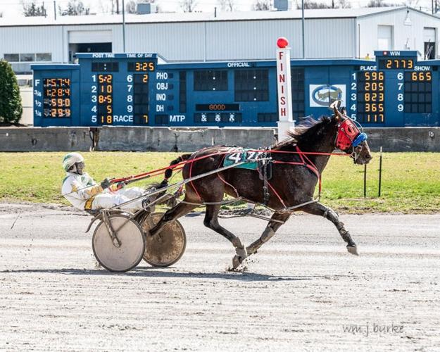 BUFFALO RACEWAY Wilberforce, Pembroke Joey get Saturday afternoon