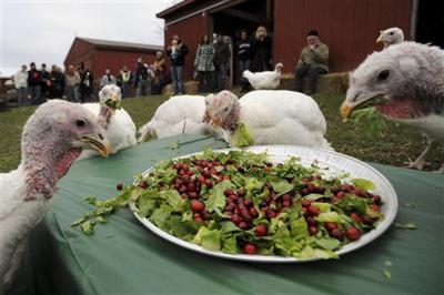 How Many Turkeys Are Eaten on Thanksgiving?