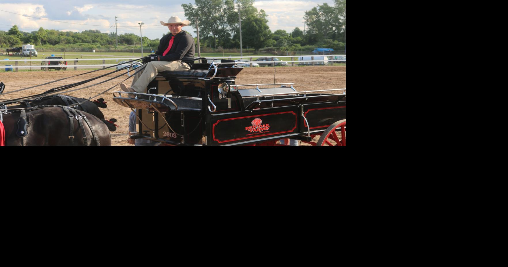 Genesee County Fair Six-Horse Hitch Classic results; weekend schedule  listed | Top Story | thedailynewsonline.com