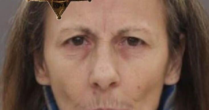 Dansville woman charged with vehicular manslaughter | News ...
