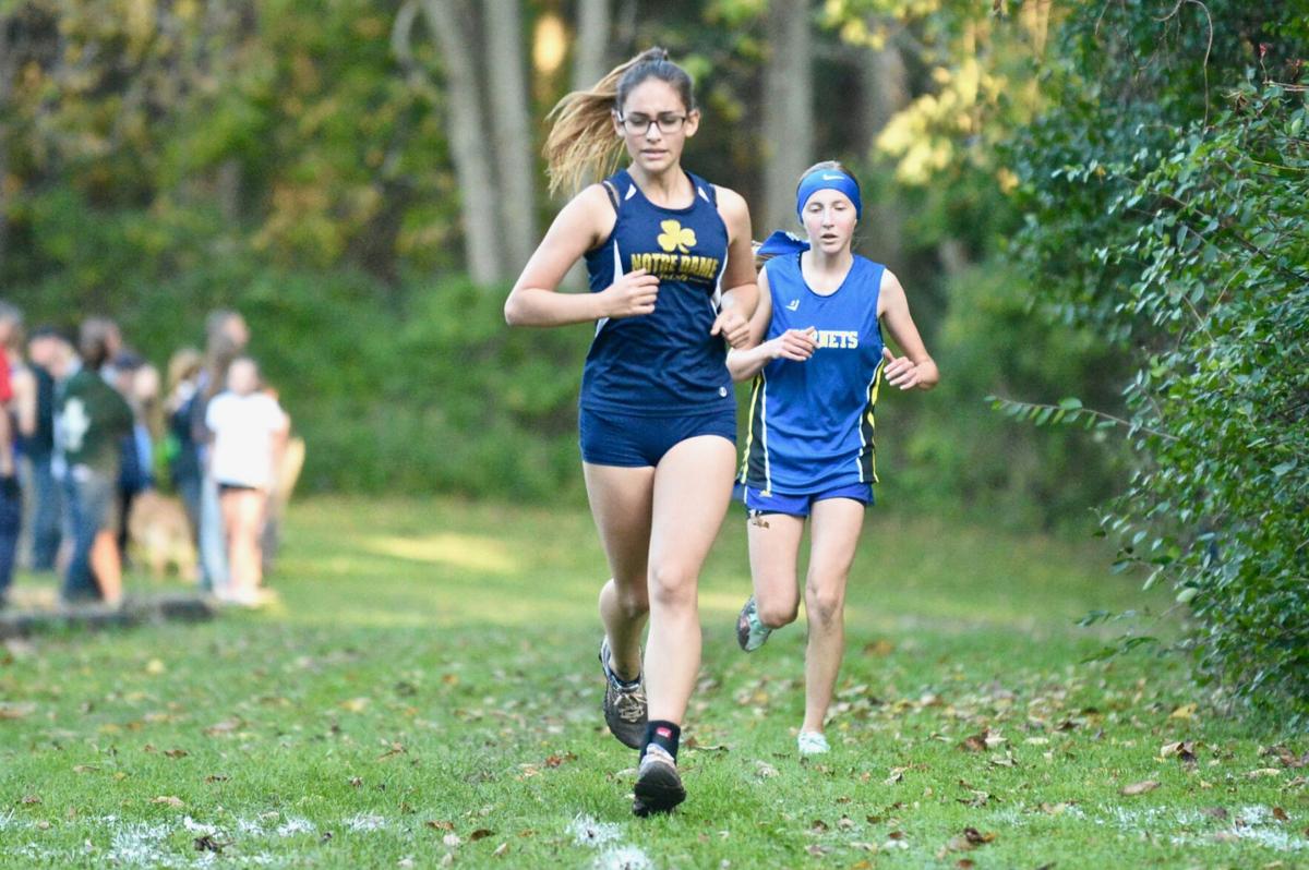 Notre Dame Cross Country Looking Forward To Another Successful Season Coach Geitner Hoping For Complete Season Sports Thedailynewsonline Com Notre Dame Cross Country Looking Forward To Another Successful Season Coach Geitner Hoping For Complete Season Sports Thedailynewsonline Com
